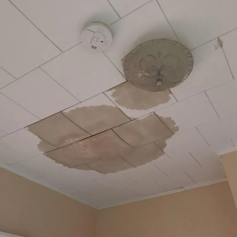 Ceiling Water Damage Repair in Brentwood, NH