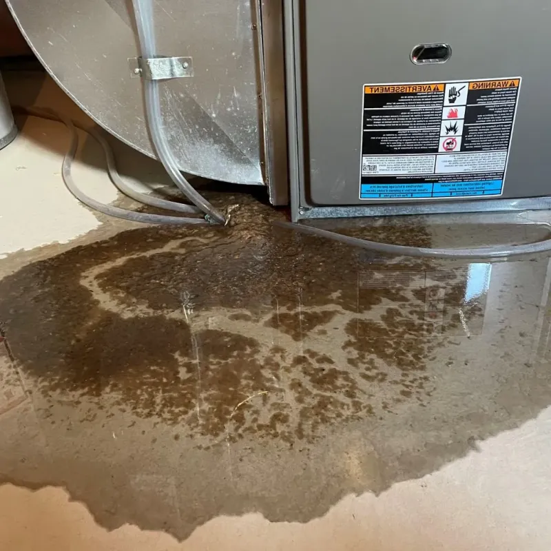 Pipe Burst and Leak Restoration in Brentwood, NH